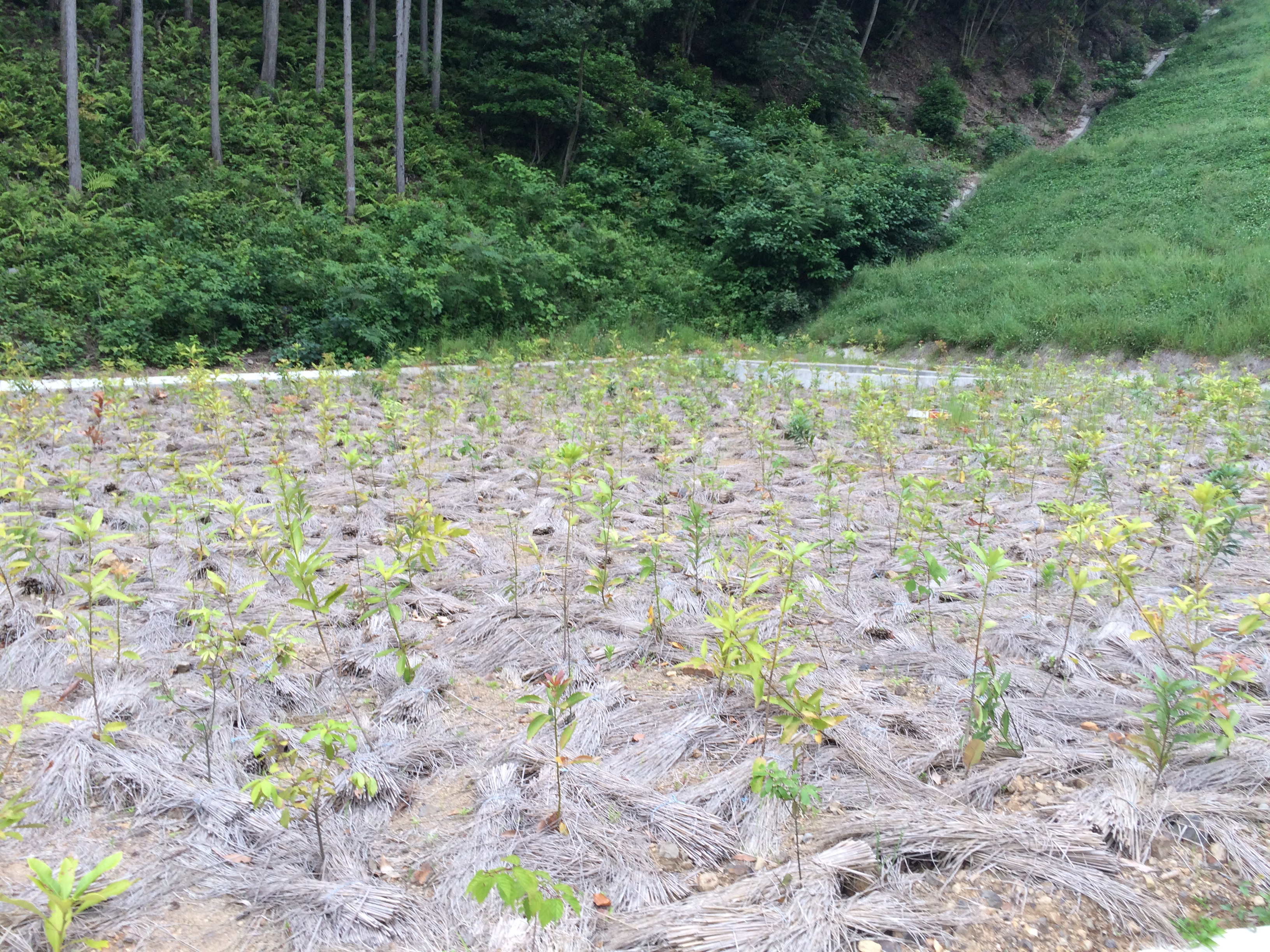 ウエストテクノ201412