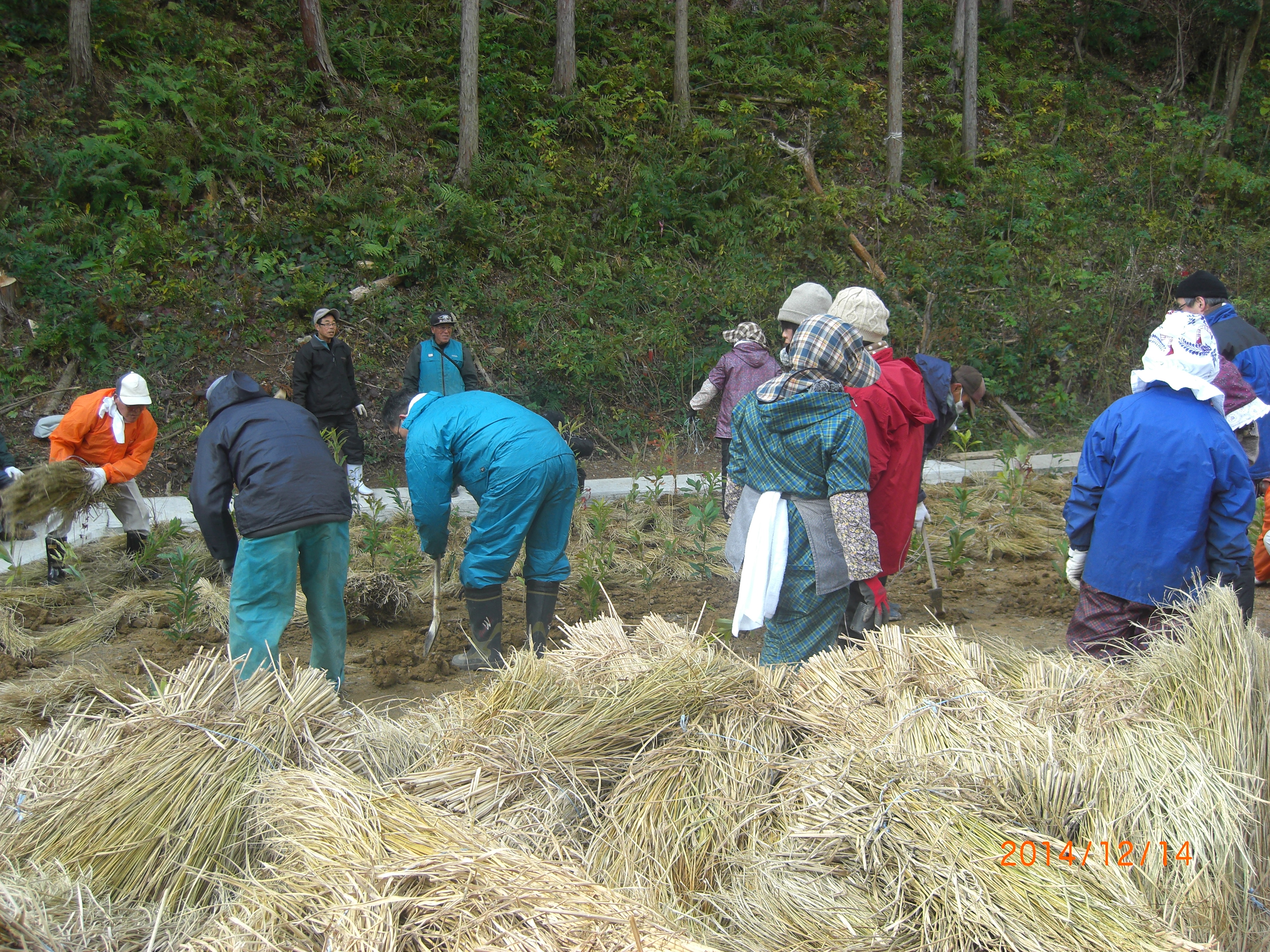 ウエストテクノ201412