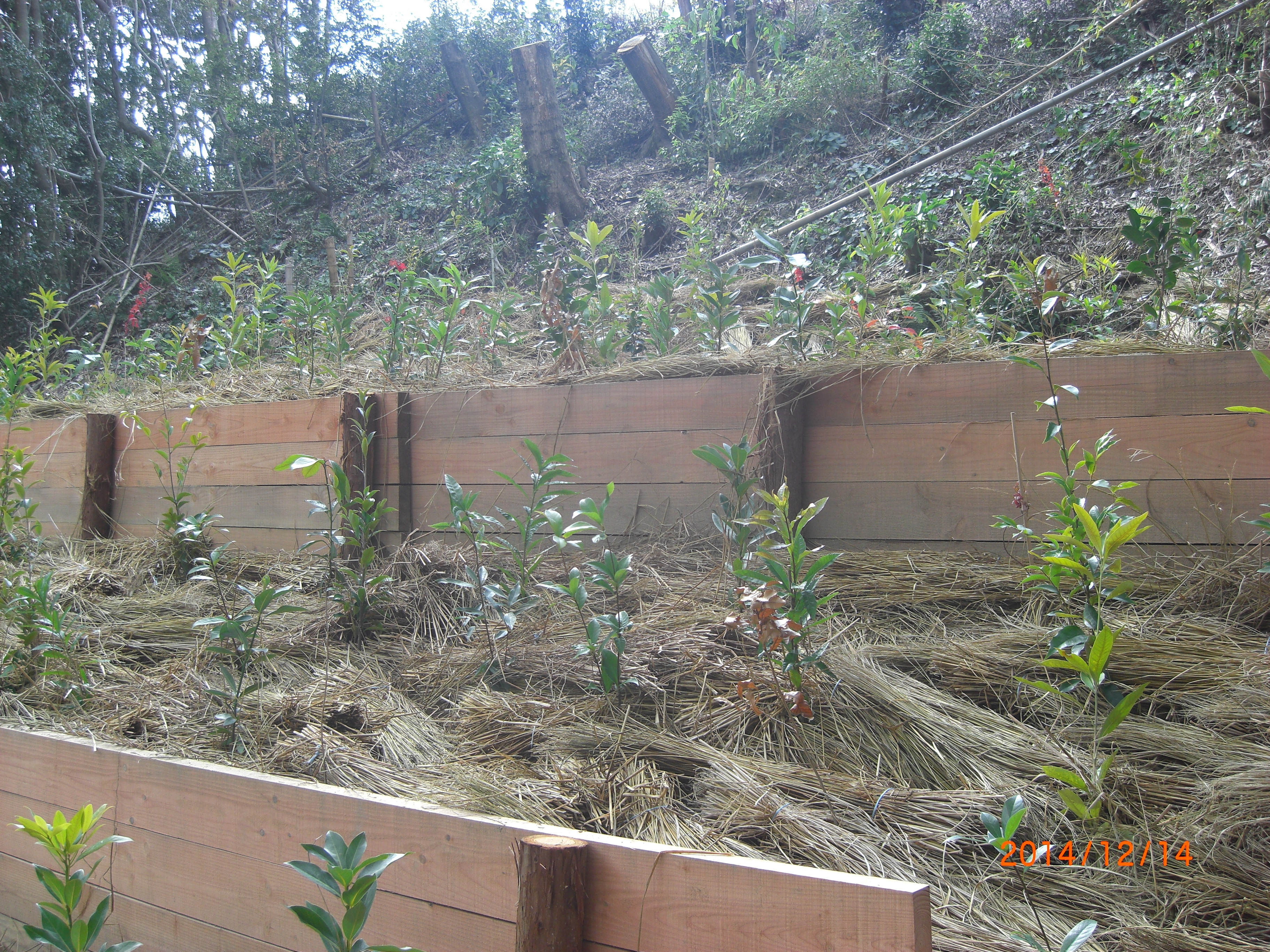 ウエストテクノ201412