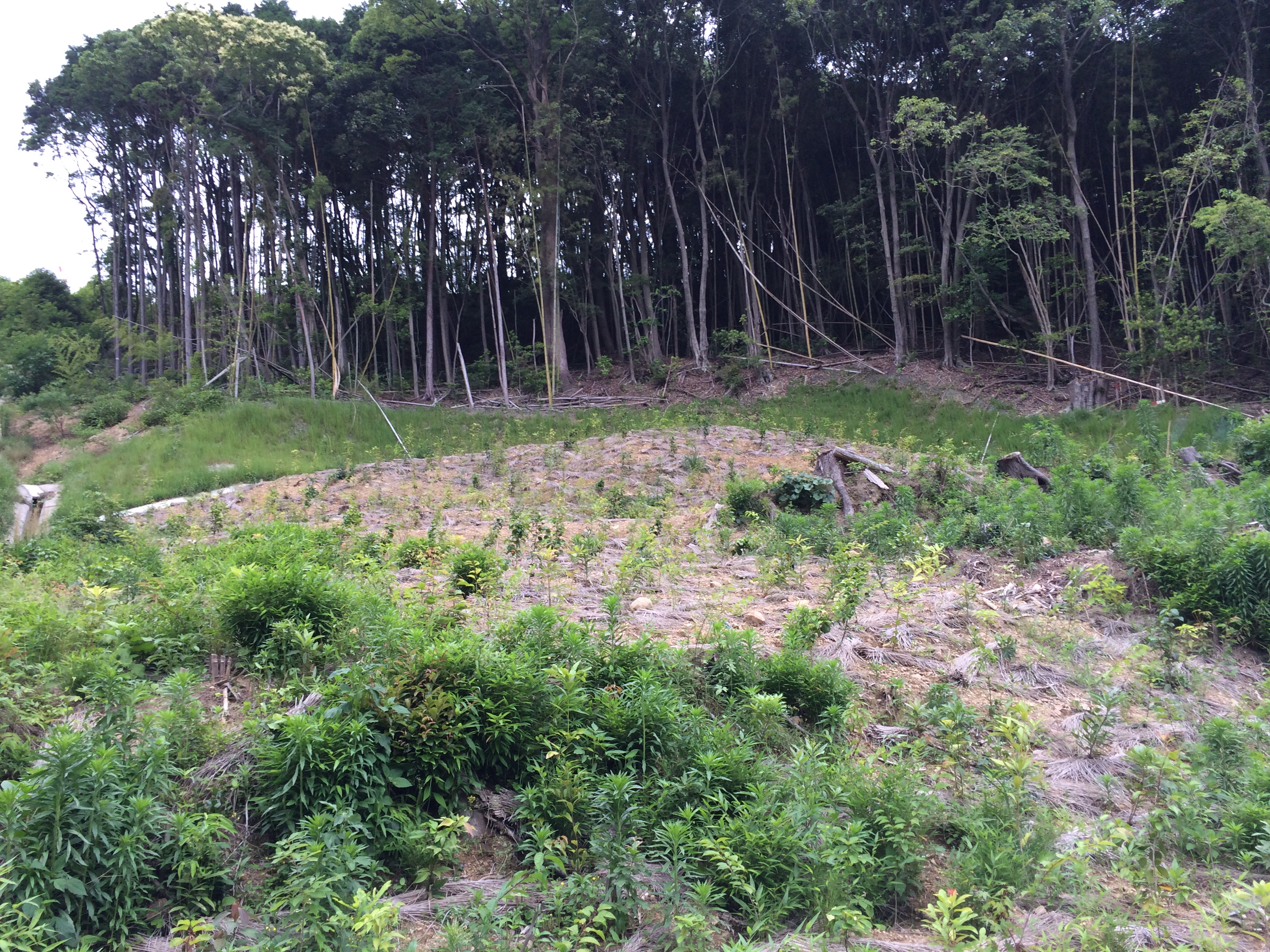 ウエストテクノ201412